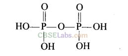 NCERT Exemplar Class 12 Chemistry Chapter 7 The p-Block Elements-2