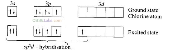 NCERT Exemplar Class 12 Chemistry Chapter 7 The p-Block Elements-5
