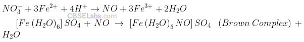 NCERT Exemplar Class 12 Chemistry Chapter 7 The p-Block Elements-7