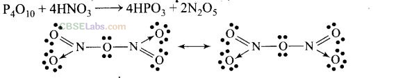 NCERT Exemplar Class 12 Chemistry Chapter 7 The p-Block Elements-13