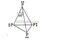 NCERT Exemplar Class 12 Chemistry Chapter 7 The p-Block Elements-14