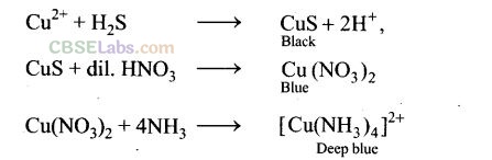 NCERT Exemplar P Block Class 12