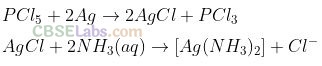 NCERT Exemplar Class 12 Chemistry Chapter 7 The p-Block Elements-17