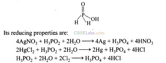 NCERT Exemplar Class 12 Chemistry Chapter 7 The p-Block Elements-20
