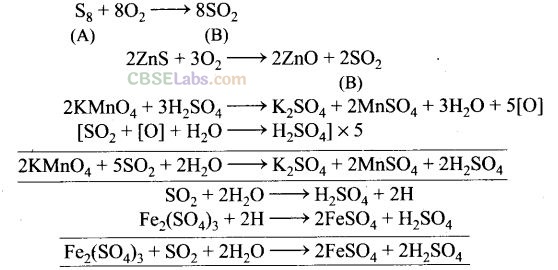 NCERT Exemplar Class 12 Chemistry Chapter 7 The p-Block Elements-33