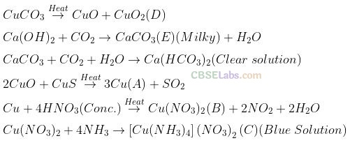 NCERT Exemplar Class 12 Chemistry Chapter 8 The d- and f-Block Elements-33