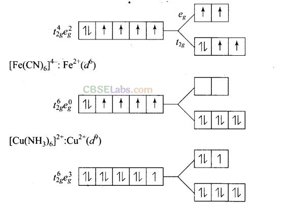 NCERT Exemplar Class 12 Chemistry Chapter 9 Coordination Compounds-21