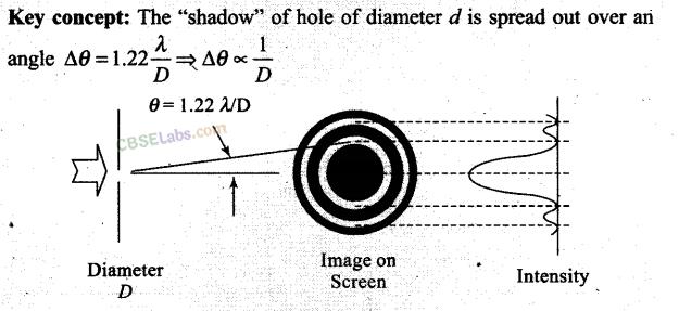 NCERT Exemplar Class 12 Physics Chapter 10 Wave Optics-12