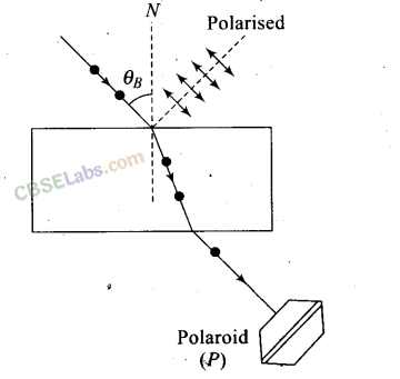 NCERT Exemplar Class 12 Physics Chapter 10 Wave Optics-1