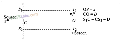 NCERT Exemplar Class 12 Physics Chapter 10 Wave Optics-24