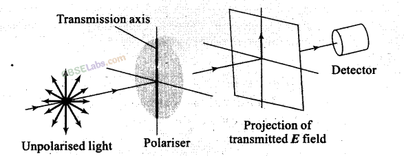 NCERT Exemplar Class 12 Physics Chapter 10 Wave Optics-2