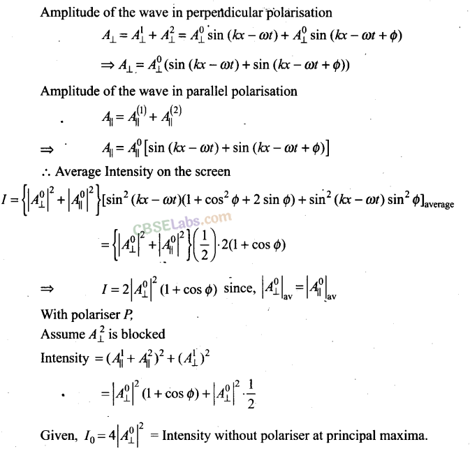 NCERT Exemplar Class 12 Physics Chapter 10 Wave Optics-29