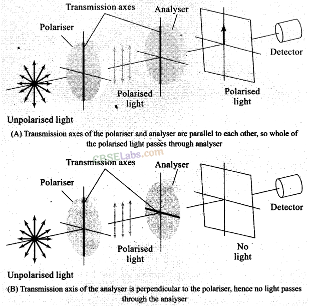 NCERT Exemplar Class 12 Physics Chapter 10 Wave Optics-3