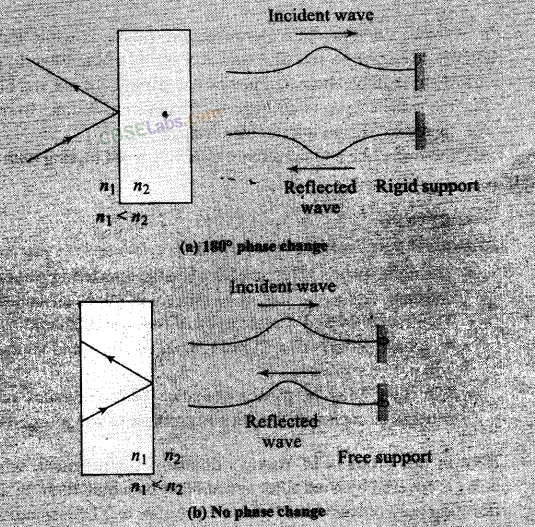 NCERT Exemplar Class 12 Physics Chapter 10 Wave Optics-6