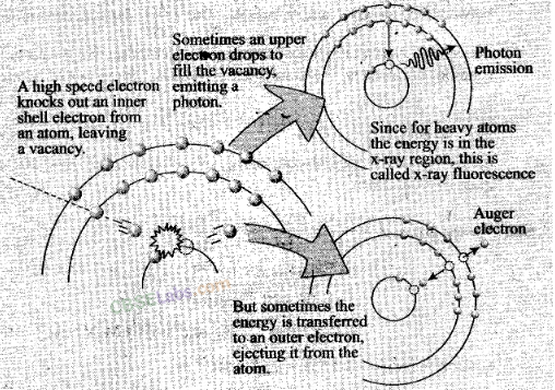 NCERT Exemplar Class 12 Physics Chapter 12 Atoms-32