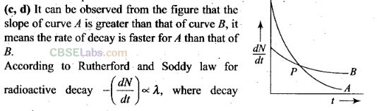 NCERT Exemplar Class 12 Physics Chapter 13 Nuclei-10