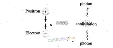 NCERT Exemplar Class 12 Physics Chapter 13 Nuclei-15