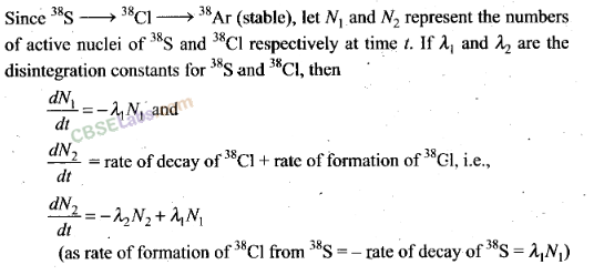 NCERT Exemplar Class 12 Physics Chapter 13 Nuclei-22