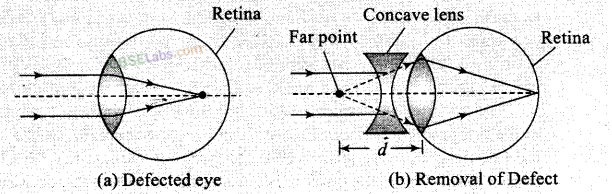 NCERT Exemplar Class 12 Physics Chapter 9 Ray Optics and Optical Instruments-41