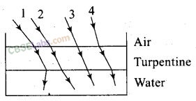 NCERT Exemplar Class 12 Physics Chapter 9 Ray Optics and Optical Instruments-8
