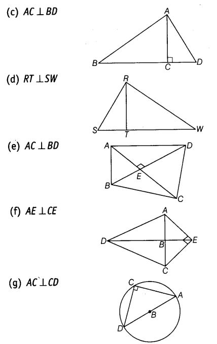 NCERT Exemplar Class 6 Maths Chapter 2 Geometry 100