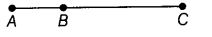 NCERT Exemplar Class 6 Maths Chapter 2 Geometry 106