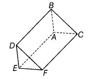 NCERT Exemplar Class 6 Maths Chapter 2 Geometry 114