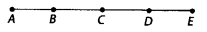 NCERT Exemplar Class 6 Maths Chapter 2 Geometry 72