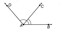 NCERT Exemplar Class 6 Maths Chapter 2 Geometry 81
