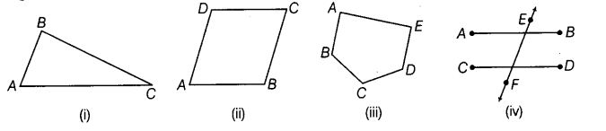 NCERT Exemplar Class 6 Maths Chapter 2 Geometry 89
