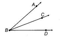 NCERT Exemplar Class 6 Maths Chapter 2 Geometry 91