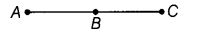 NCERT Exemplar Class 6 Maths Chapter 2 Geometry 92