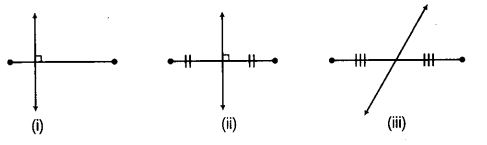NCERT Exemplar Class 6 Maths Chapter 2 Geometry 94