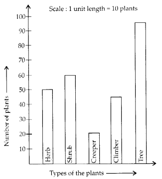 NCERT Exemplar Class 6 Maths Chapter 5 Data Handling 112