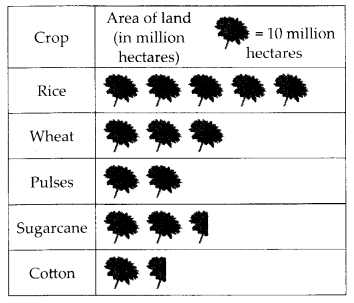 NCERT Exemplar Class 6 Maths Chapter 5 Data Handling 123