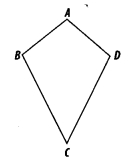 NCERT Exemplar Class 6 Maths Chapter 9 Symmetry and Practical Geometry 10