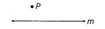 NCERT Exemplar Class 6 Maths Chapter 9 Symmetry and Practical Geometry 102