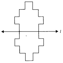 NCERT Exemplar Class 6 Maths Chapter 9 Symmetry and Practical Geometry 88