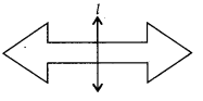 NCERT Exemplar Class 6 Maths Chapter 9 Symmetry and Practical Geometry 95