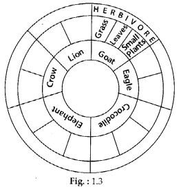 NCERT Exemplar Class 6 Science Chapter 1 Food Where Does It Come From - 3