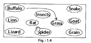 NCERT Exemplar Class 6 Science Chapter 1 Food Where Does It Come From - 5
