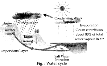 NCERT Exemplar Class 6 Science Chapter 14 Water q20