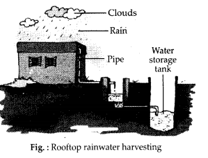 NCERT Exemplar Class 6 Science Chapter 14 Water q22