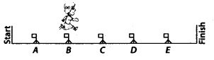 NCERT Exemplar Class 7 Maths Chapter 2 Fractions and Decimals 12