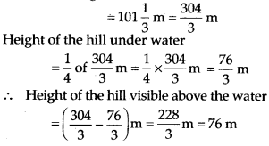 NCERT Exemplar Class 7 Maths Chapter 2 Fractions and Decimals 30