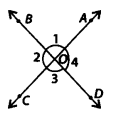 NCERT Exemplar Class 7 Maths Chapter 5 Lines and Angles 39