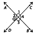 NCERT Exemplar Class 7 Maths Chapter 5 Lines and Angles 43