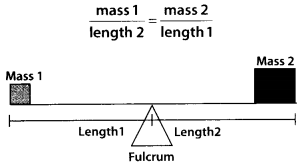 NCERT Exemplar Class 7 Maths Chapter 7 Comparing Quantities 119