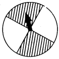 NCERT Exemplar Class 7 Maths Solutions Chapter 3 Data Handling 12