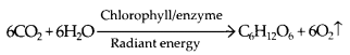 NCERT-Exemplar-Class-7-Science-Chapter-1-Matter-In-Our-Surroundings-q8